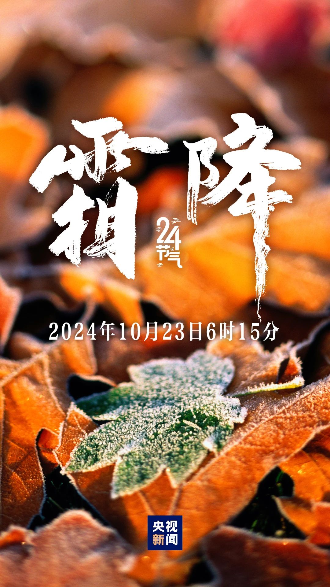 秋季最后一個(gè)節(jié)氣，來(lái)了